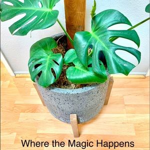 “These streets will make you feel brand new . . . Big lights will inspire you.”